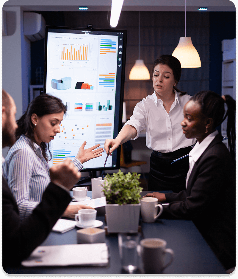 Business Analyst