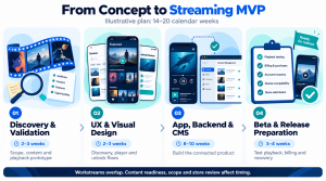 Four workstreams cover validation, UX design, app and CMS development, and release preparation within an illustrative 14–20 week plan.