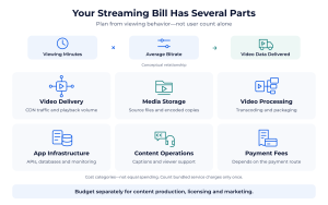 Monthly operating cost categories include video delivery, storage, processing, app infrastructure, support and payment fees.